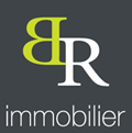 br-immobilier.be